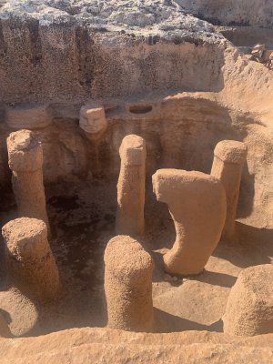 World Neolithic Congress - Resim 8