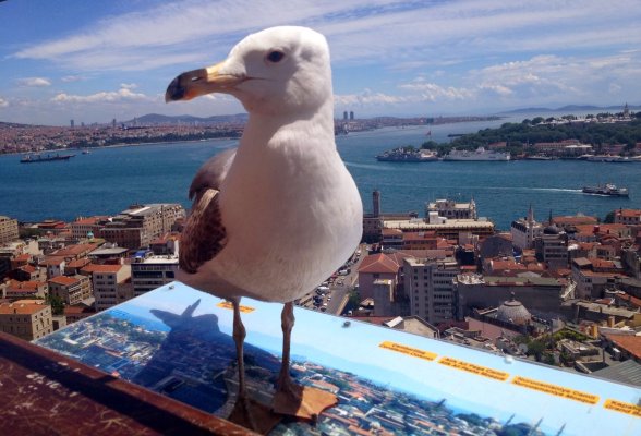 Sustain Istanbul 2024 - Resim 9