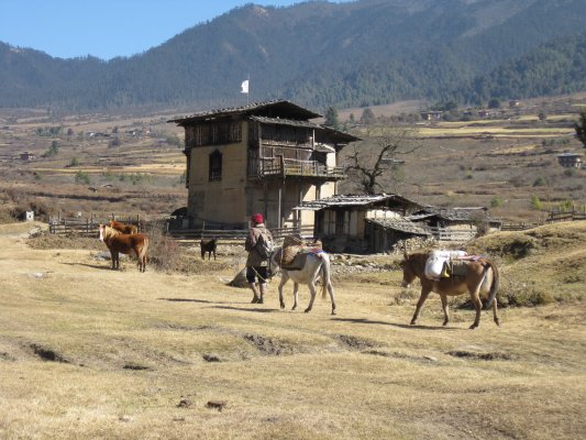 Bhutan-Bangkok - Resim 3