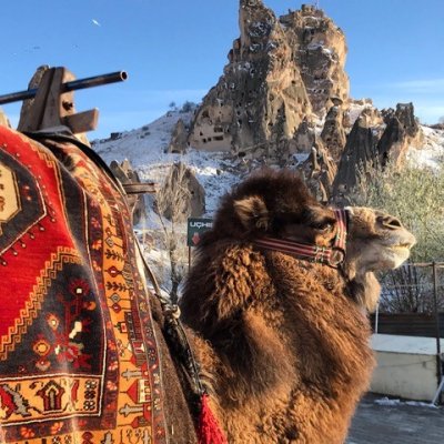 A Journey Through Turkey’s Heart and Soul - Resim 10