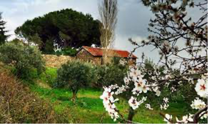 The Beauties of Western Turkey - Resim 14